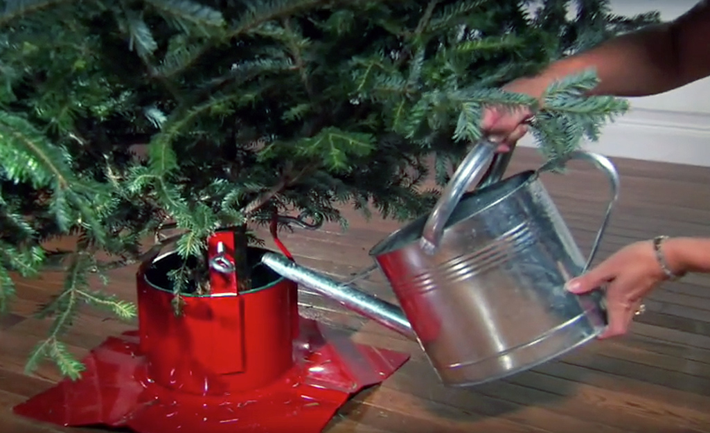 ¿Cómo mantener fresco el árbol de Navidad?
